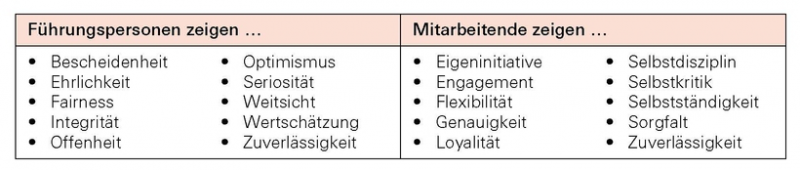 Datei:Fuehrung-5-WerteFuehrung.png